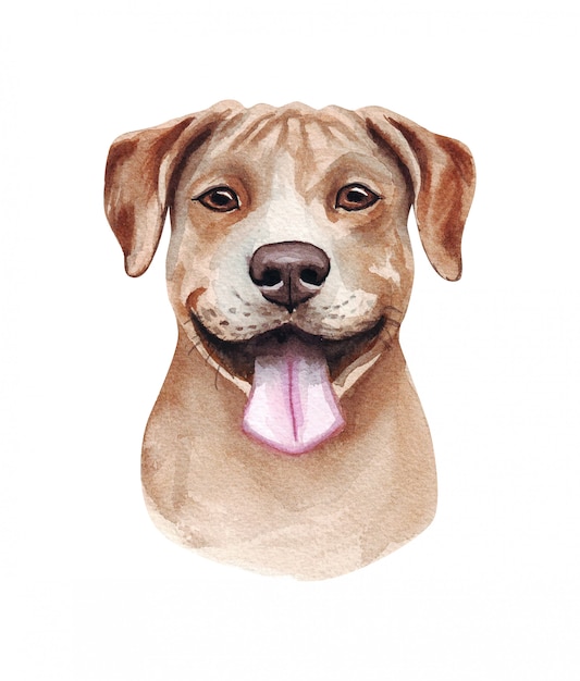 Watercolor illustration of a funny dog. Popular dog breed. Dog. American Pit Bull Terrier. Hand made character isolated on white