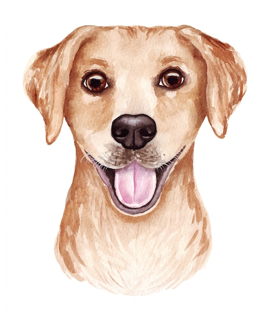 Watercolor illustration of a funny dog. Popular dog breed. Dog. Labrador retriever. Hand made character isolated on white