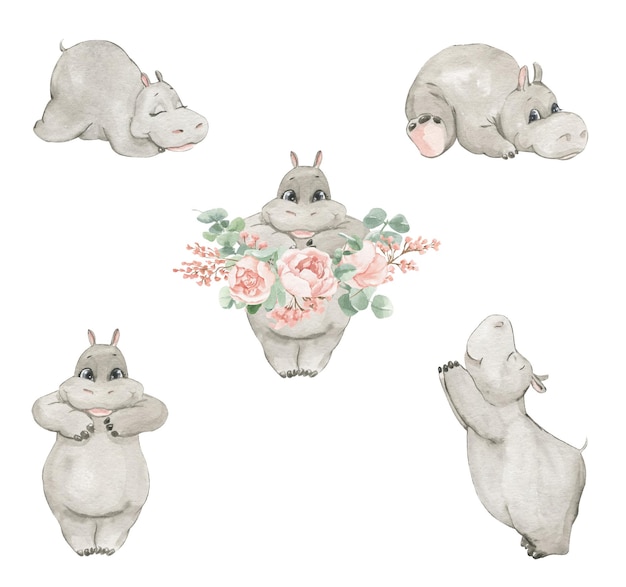 Watercolor illustration of a hippo in different poses with peony flowers and eucalyptus branches