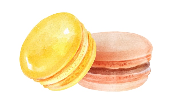 Watercolor illustration of Macarons