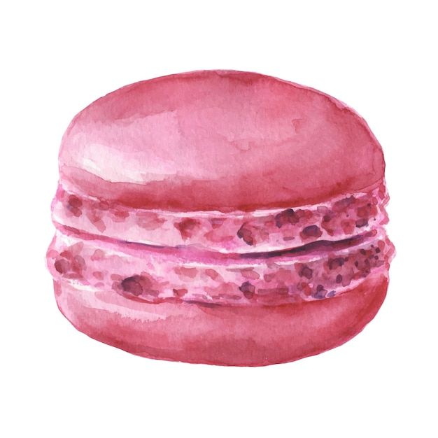 Watercolor illustration of pink macaroons isolated on white