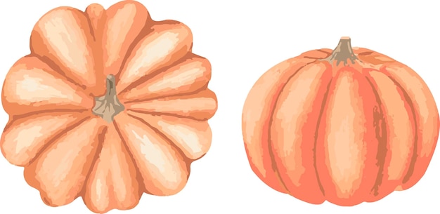 Watercolor illustration of a pumpkin