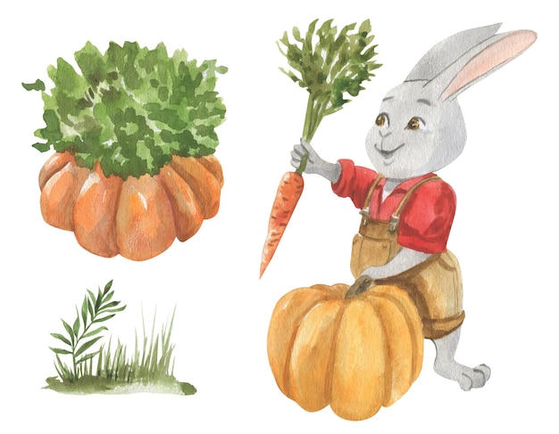 Watercolor illustration of a rabbit in clothes with a carrot in his hand next to a pumpkin