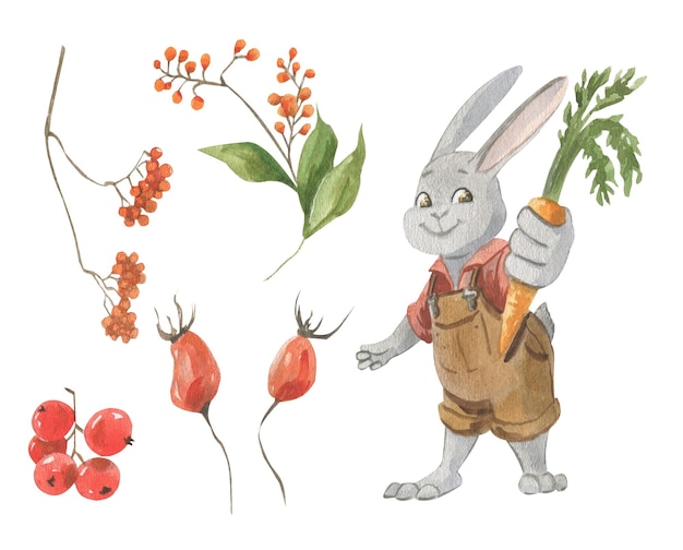 Watercolor illustration of a rabbit in clothes with a carrot in his hand and a sprig of berries