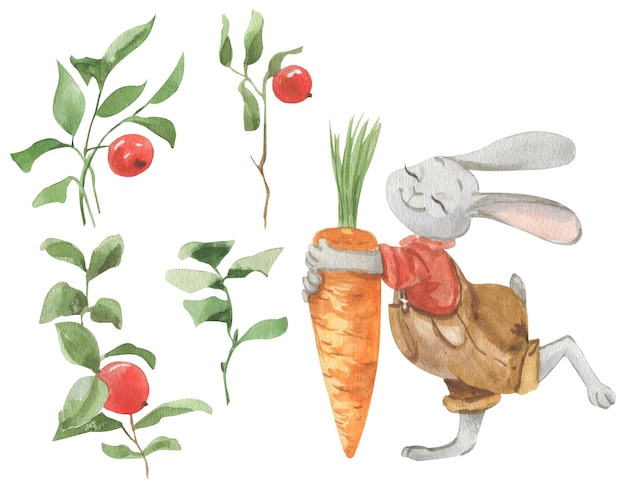 Watercolor illustration of a rabbit in clothes with a carrot