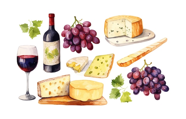 Vector watercolor illustration set clipart of cheeses for wine design print vector