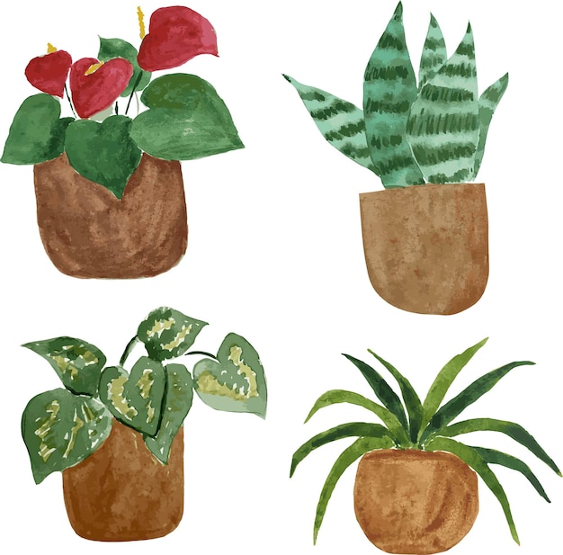 watercolor illustration set of indoor plants anthurium spider plant sansevieria devil ivy