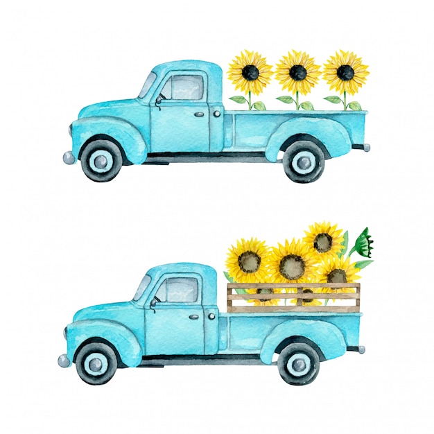 Watercolor illustration of a summer light blue farm pickup truck with sunflowers  