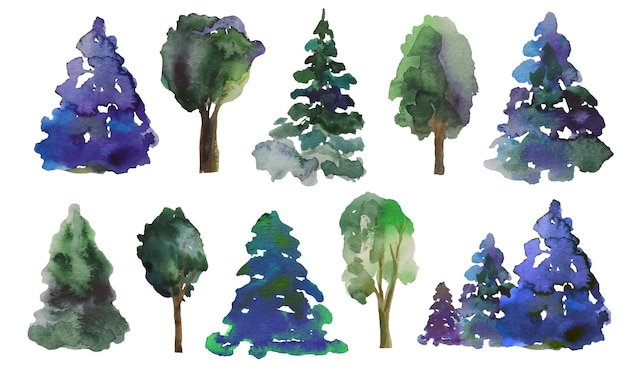 Watercolor illustration tree green forest pine spruce birch oak walnut maple landscape design