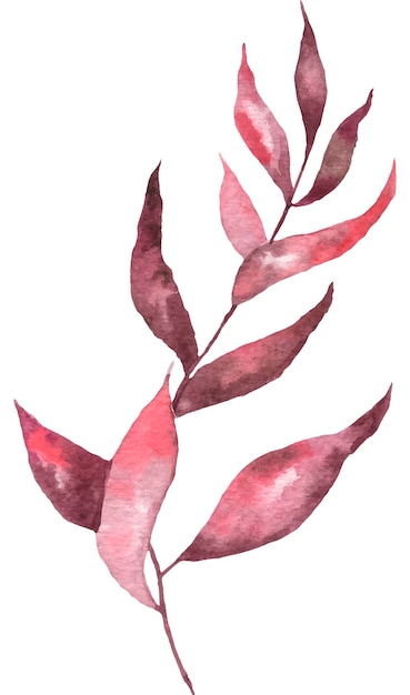 Watercolor illustration of a twig with leaves