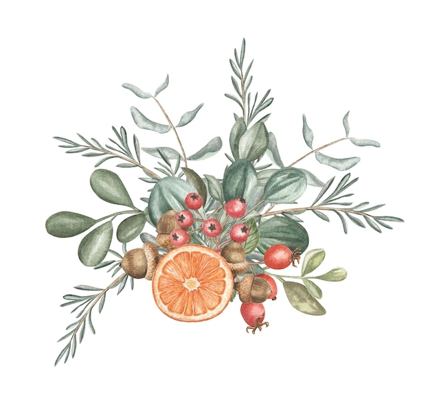 Watercolor illustration of winter plants and berries. Christmas and winter holidays.