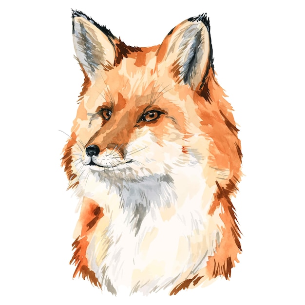 Watercolor illustration with a portrait of a fox