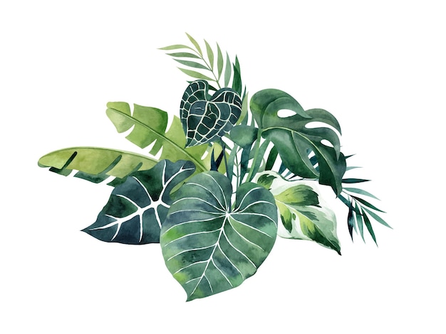 Watercolor illustration with tropical leaves bouquet isolated on white background Vector clipart