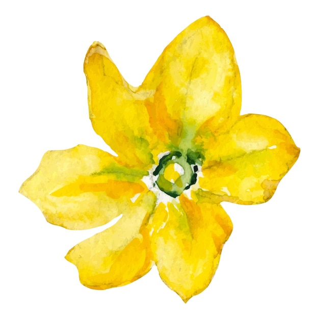 Watercolor illustration yellow pumpkin flower hand drawn