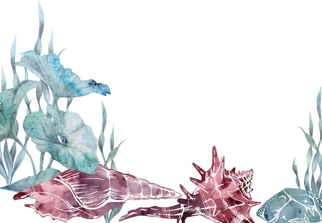 Watercolor and ink hand drawn marine life sea ocean underwater creatures fish shells algae seaweed