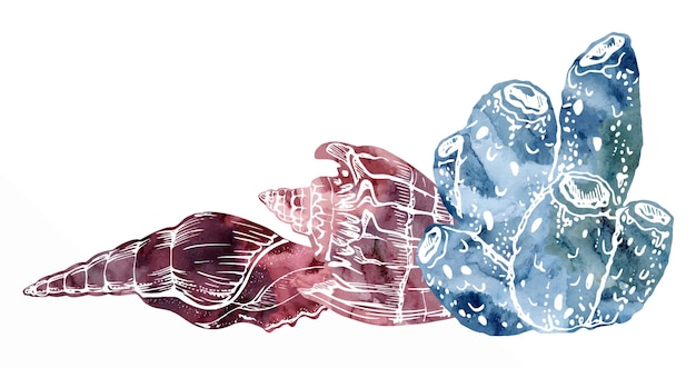 Vector watercolor and ink hand drawn marine life sea ocean underwater creatures fish shells algae seaweed