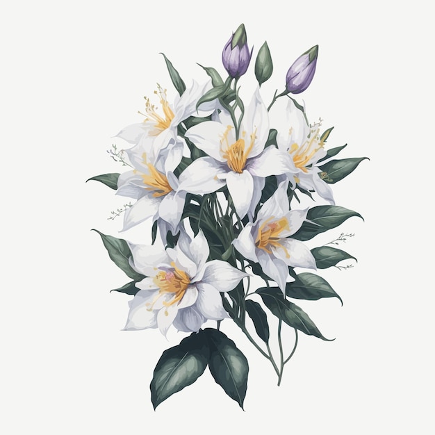 Watercolor Laelia Clipart Floral Vector