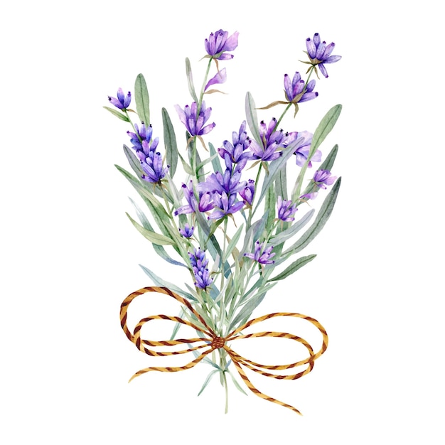 Watercolor Lavender Bouquet