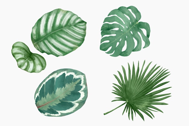 Watercolor leaf vectors mixed green plants