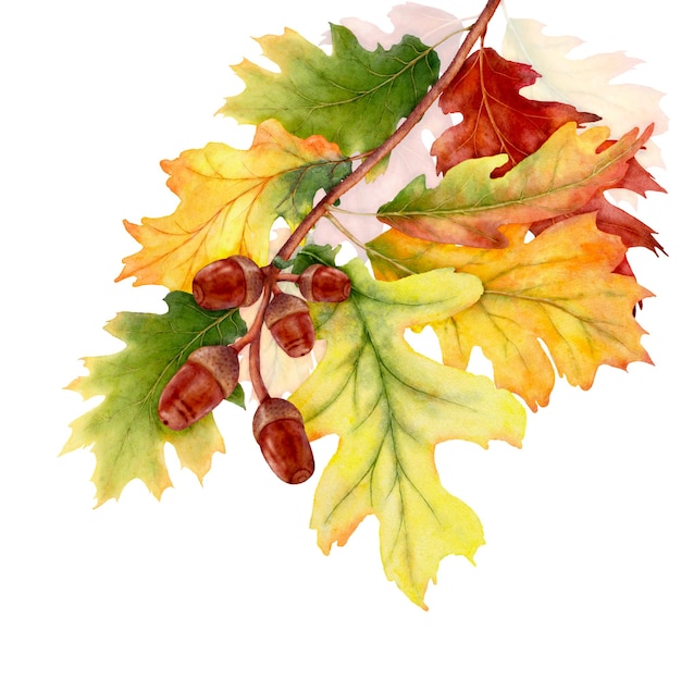 Watercolor leaves and branches in the autumn season