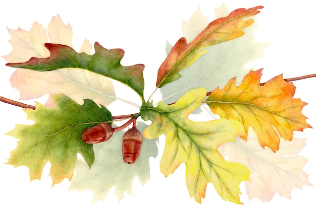 Watercolor leaves and branches in the autumn season