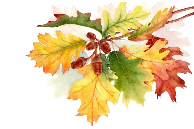 Watercolor leaves and branches in the autumn season