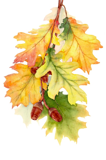 Watercolor leaves and branches in the autumn season