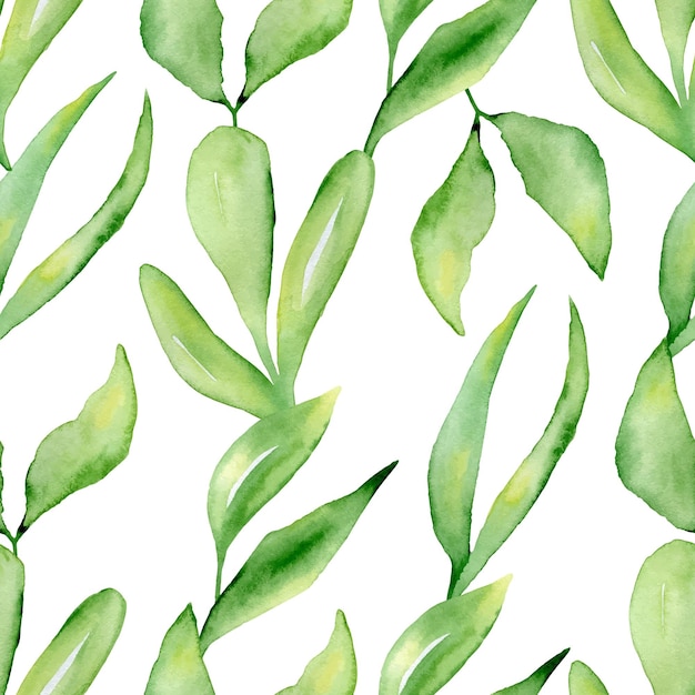 Watercolor Leaves and Branches Hand Drawn Seamless Pattern Background