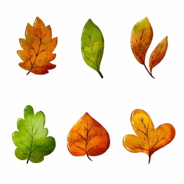 Watercolor leaves collection