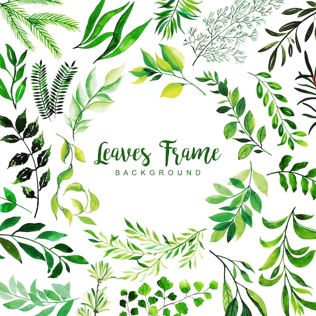 Watercolor Leaves Frame Background