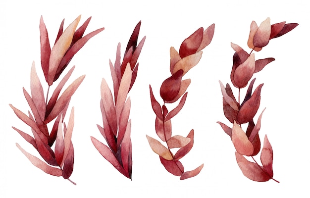 Watercolor leaves illustration.