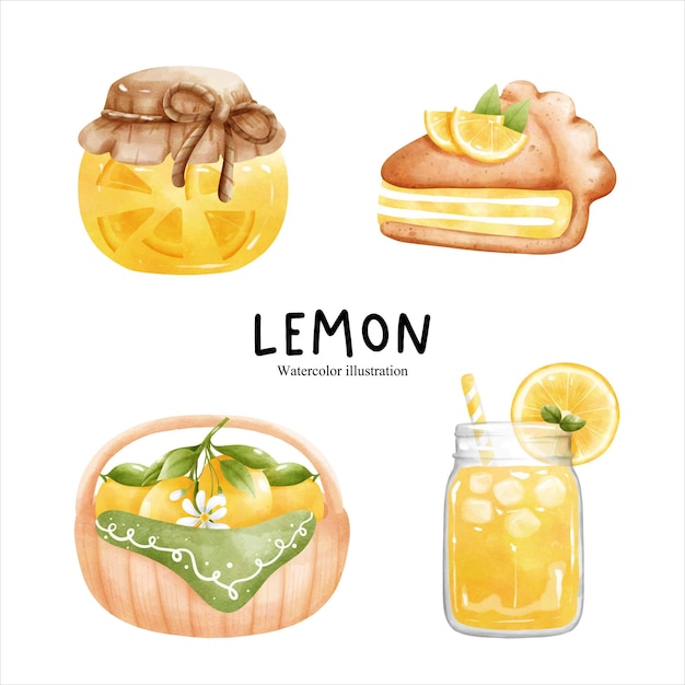 Watercolor lemon citrus vector illustration