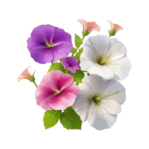 Watercolor multiflora petunias clipart editable white background