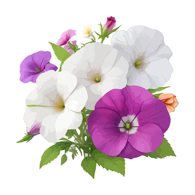 Watercolor multiflora petunias clipart editable white background