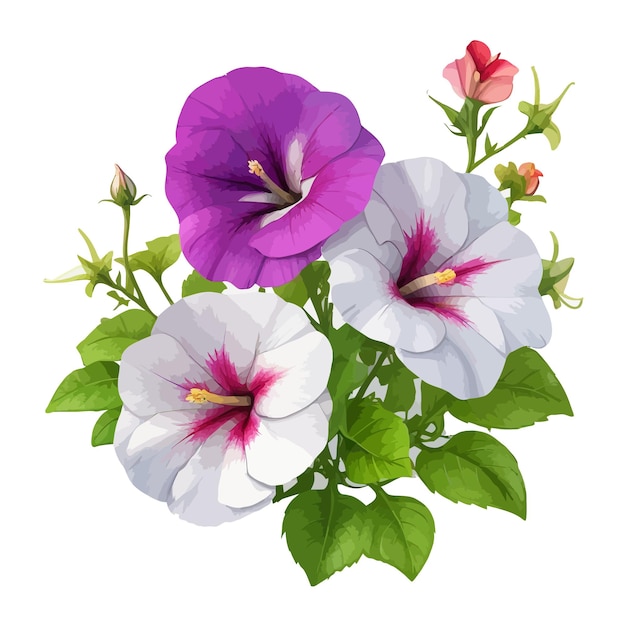 Watercolor multiflora petunias clipart editable white background