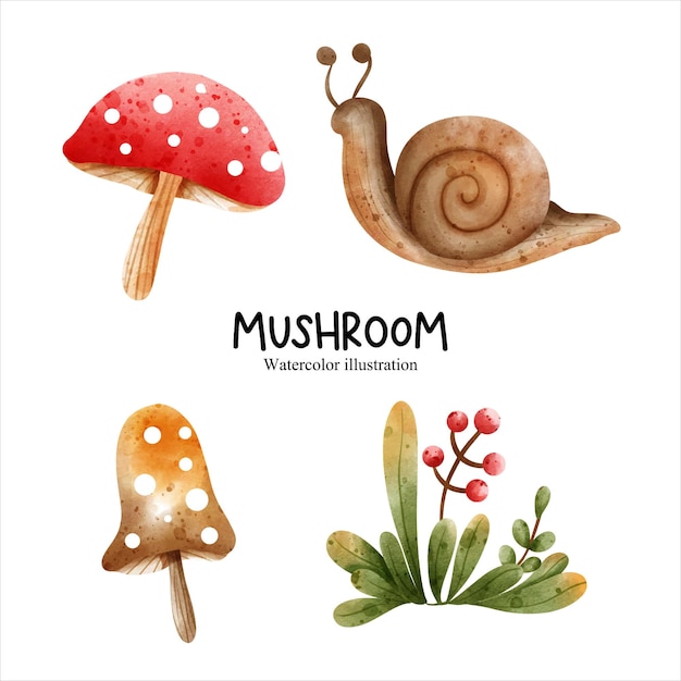 Watercolor mushroom vegetables vector illustration