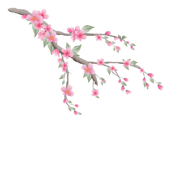 Vector watercolor natural cherry blossom