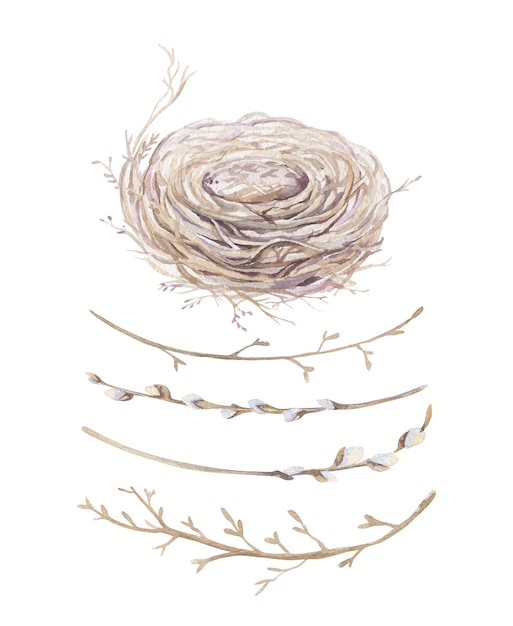 Vector watercolor nest with bird eggs with branch and feather spring hand drawn boho feather nests