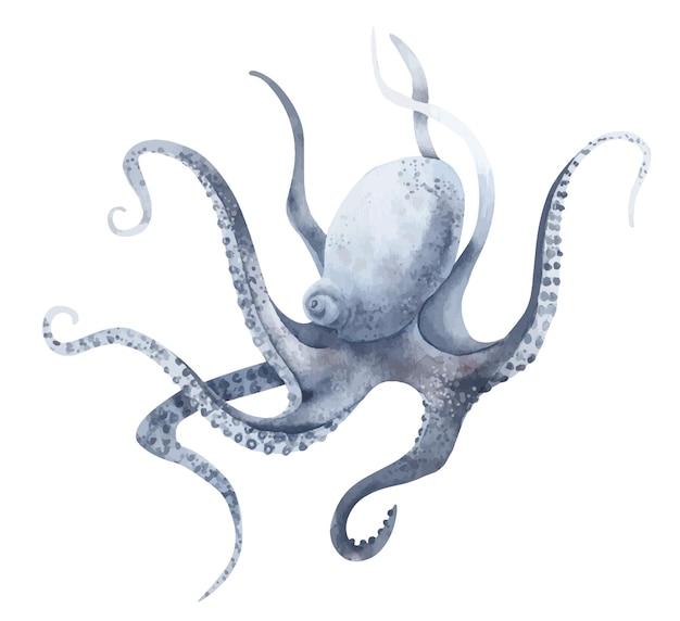 Watercolor Octopus in pastel blue colors on isolated background Hand drawn illustration of wild undersea animal with tentacles Marine or ocean underwater life Colorful drawing in realistic style