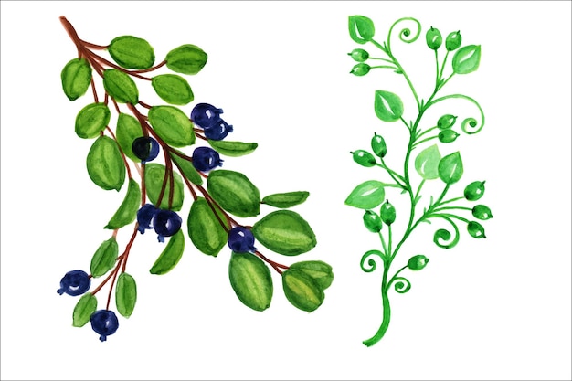 Watercolor olives,wild berries,branches with berries.Decoration of wedding cards.Wild berries art.