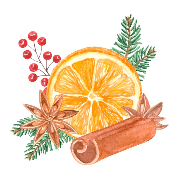 Watercolor Orange with anise, cinnamon, berries and fir branches. Winter or autumn mood