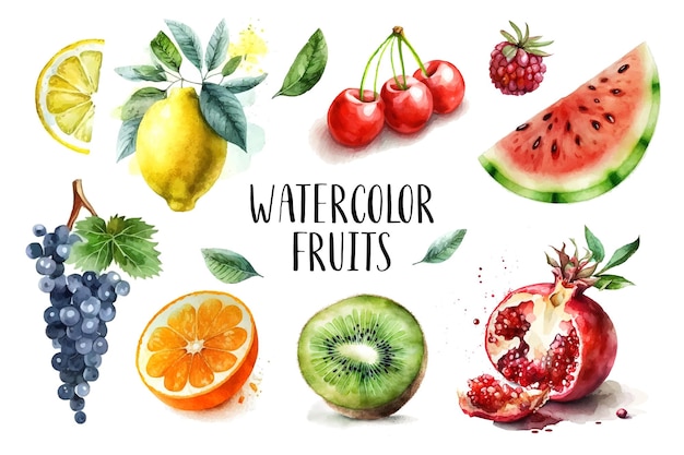 Watercolor painted collection of fruits Hand drawn fresh food design elements isolated on white background