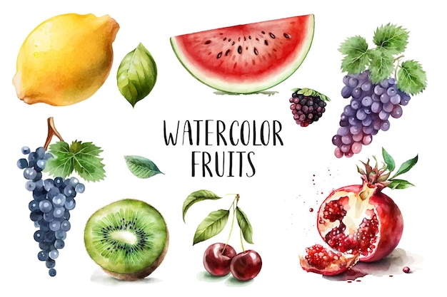 Watercolor painted collection of fruits Hand drawn fresh food design elements isolated on white background