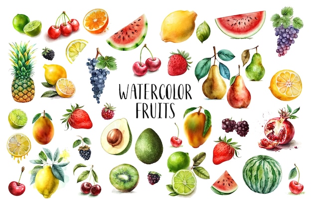 Watercolor painted collection of fruits hand drawn fresh food design elements isolated on white