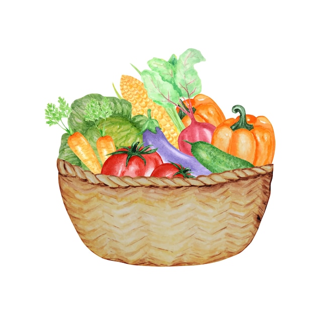 Watercolor painted collection of vegetables in wicker basket. Hand drawn fresh food design elements.