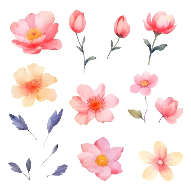 Watercolor painted flowers set