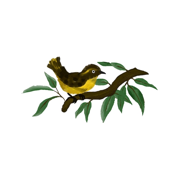 Watercolor painted songbird illustration vector