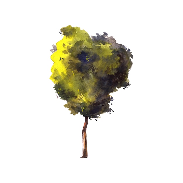 Vector watercolor painting of artistic tree