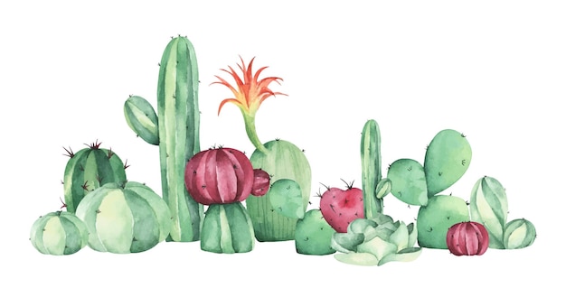 Watercolor painting of cacti and succulent plants