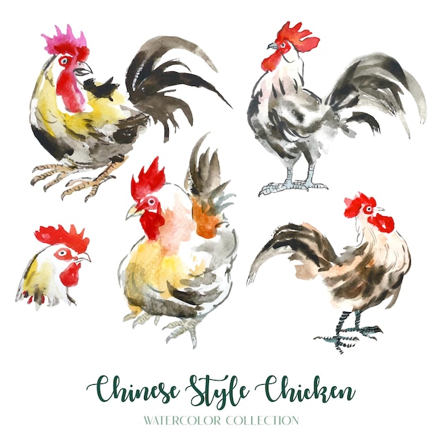 Watercolor painting of chicken collection in oriental Chinese style Separately Arranged